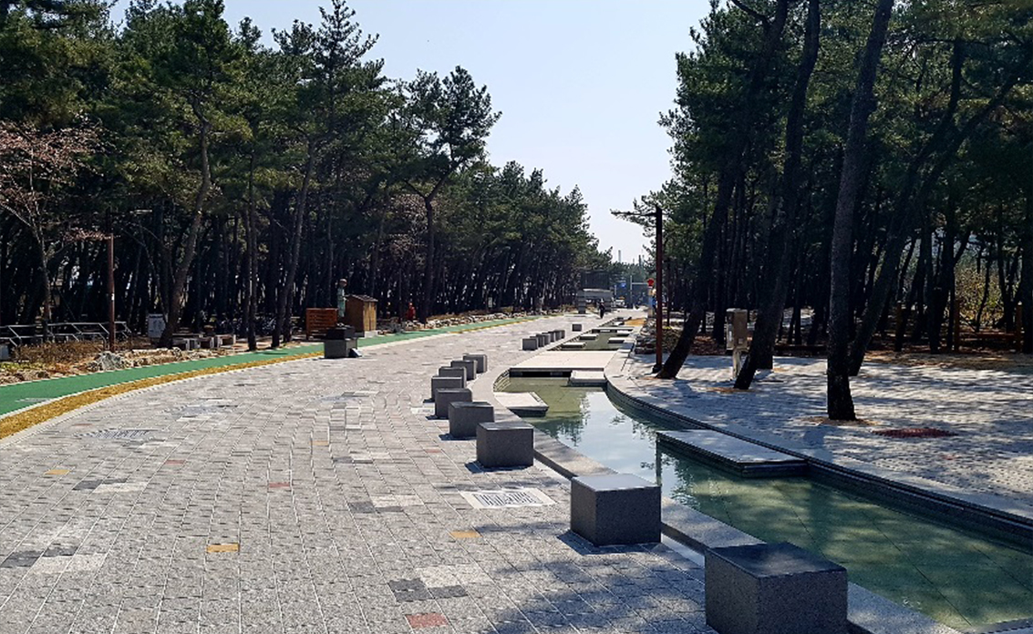 Songdo pine tree city forest('16. 1~'17 10) 