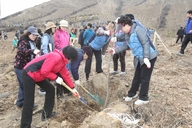 虎尾串面 避免山火， 穿上了新衣服。