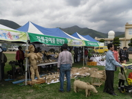 来杞北山野菜庆典感受清净野山菜的味道和香气