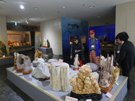 Visitors at the Fossil Museum