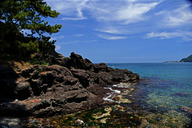 Coast Near Guryongso （a swamp）