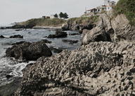 Jusangjeolli Cliff