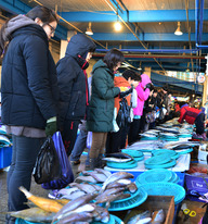 Jukdo Fish Market