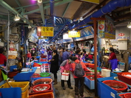 Jukdo Fish Market Live Fish Section
