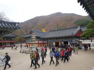 Inside Bogyeongsa Temple