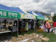 Taste Various Wild Plants at the Gibuk Wild Greens Festival!