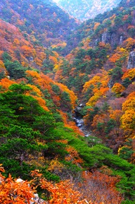 内延山（ネヨンサン）渓谷の秋景色