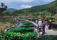 Gyeongsangbuk-do Arboretum