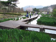 Gyeongsangbuk-do Arboretum