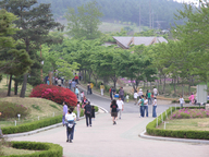 Gyeongsangbuk-do Arboretum