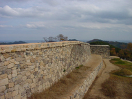 Janggi-eup castle